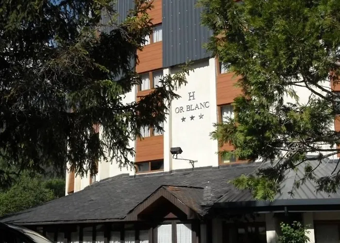 Hotel Or Blanc Espot